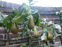 re-circum-2016-09-27-12-58-59