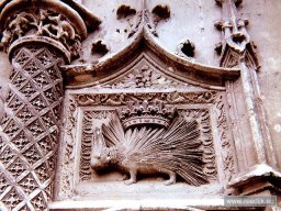 re-cyclo-19840809-albumscan-013