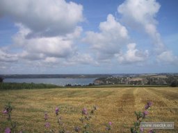 re-cyclo_2005-08-04_11-12-55