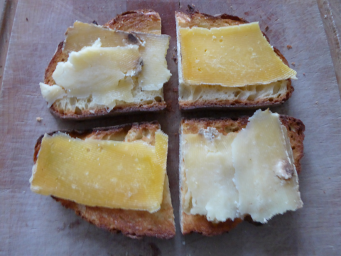 rej prent culi pane altamura remeker salers