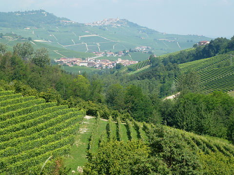 Barolo tussen zijn wijnhellingen.
